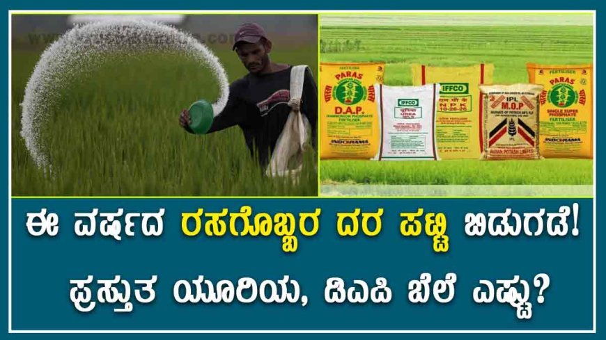 MRP of fertilizers: ಈ ವರ್ಷದ ರಸಗೊಬ್ಬರ ದರ ಪಟ್ಟಿ ಬಿಡುಗಡೆ! ಪ್ರಸ್ತುತ ಯೂರಿಯಾ, ಡಿಎಪಿ ಬೆಲೆ ಎಷ್ಟು?