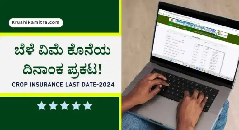 Crop insurance last date-2024: ಜಿಲ್ಲಾವಾರು ಬೆಳೆ ವಿಮೆ ಮಾಡಿಸಲು ಕೊನೆಯ ದಿನಾಂಕ ಬಿಡುಗಡೆ!