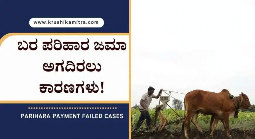Parihara Payment Failed Cases-ರೈತರ ಖಾತೆಗೆ ಬರ ಪರಿಹಾರ ಜಮಾ ಅಗದಿರಲು ಕಾರಣಗಳ ಪಟ್ಟಿ ಬಿಡುಗಡೆ!