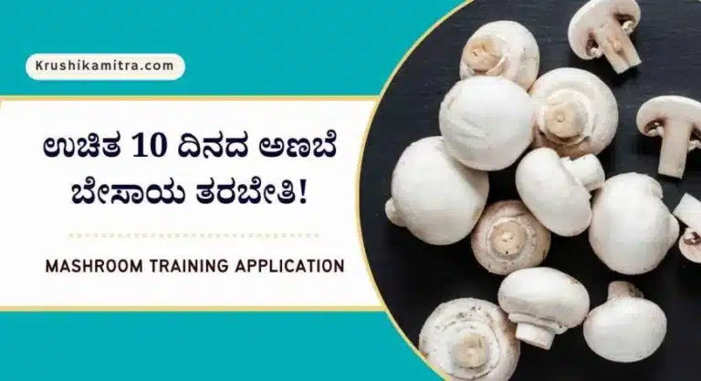Free mashroom training-ಉಚಿತ 10 ದಿನದ ಅಣಬೆ ಬೇಸಾಯ ತರಬೇತಿಗೆ ಅರ್ಜಿ ಆಹ್ವಾನ!