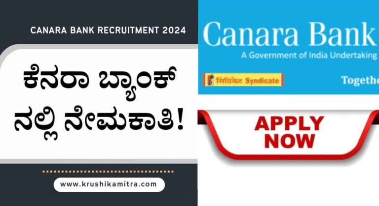 Canara Bank Recruitment-2024: ಕೆನರಾ ಬ್ಯಾಂಕ್ ನಲ್ಲಿ 3000 ಹುದ್ದೆಗಳ ನೇಮಕಾತಿ!