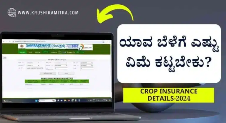 Crop insurance-2024:ಈ ವರ್ಷ ಯಾವ ಬೆಳೆಗೆ ಎಷ್ಟು ಬೆಳೆ ವಿಮೆ ಕಟ್ಟಬೇಕು?ಸಂಪೂರ್ಣ ವಿವರ ಬಿಡುಗಡೆ!