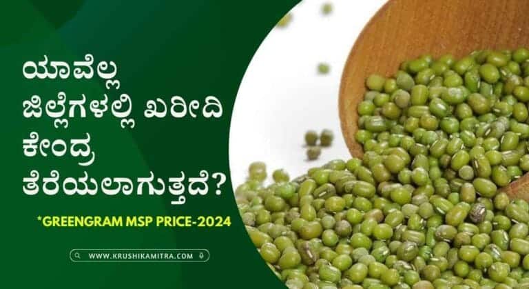Greengram msp price-2024: ಬೆಂಬಲ ಬೆಲೆಯಲ್ಲಿ ಕ್ವಿಂಟಾಲ್ ಗೆ ರೂ 8,682 ರಂತೆ ಹೆಸರುಕಾಳು ಖರೀದಿಗೆ ಆದೇಶ!