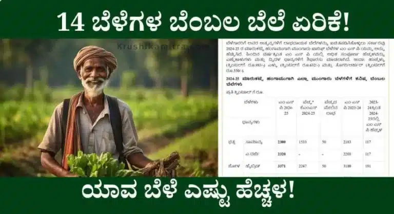 MSP Price-2024: ದೇಶದ ರೈತರಿಗೆ ಗುಡ್ ನ್ಯೂಸ್ ಭತ್ತ,ರಾಗಿ ಸೇರಿದಂತೆ 14 ಬೆಳೆಗಳ ಬೆಂಬಲ ಬೆಲೆ ಏರಿಕೆ!