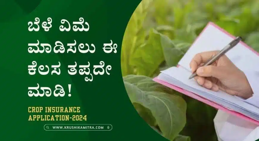 bele vime news- ಬೆಳೆ ವಿಮೆ ಮಾಡಿಸಲು ಈ ಕೆಲಸ ತಪ್ಪದೇ ಮಾಡಿ!