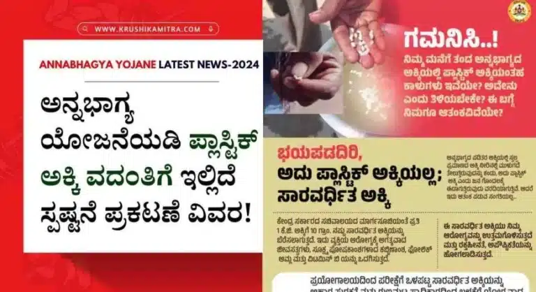 Annabhagya rice-2024: ಅನ್ನಭಾಗ್ಯದ ಅಕ್ಕಿಯಲ್ಲಿ ಪ್ಲಾಸ್ಟಿಕ್ ಅಕ್ಕಿಯಂತಹ ಕಾಳುಗಳು ಇವೆಯೇ? ಅದೇನು ಎಂದು ತಿಳಿಯಬೇಕೇ? ಇಲ್ಲಿದೆ ಸಂಪೂರ್ಣ ವಿವರ.