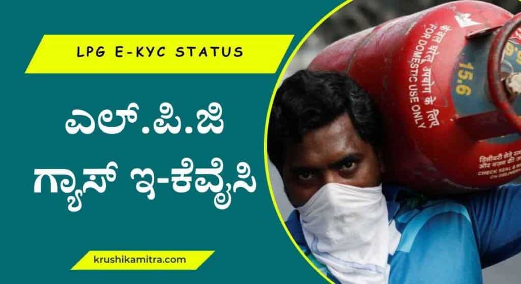 LPG e-KYC status- ಎಲ್.ಪಿ.ಜಿ ಗ್ಯಾಸ್ ಇ-ಕೆವೈಸಿ ಅಗಿದಿಯೋ ಇಲ್ಲವೋ ಎಂದು ಚೆಕ್ ಮಾಡುವುದು ಹೇಗೆ?