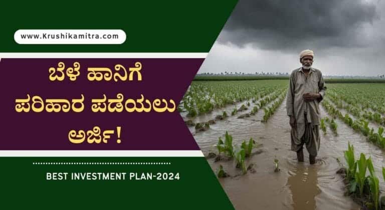 Bele parihara- ಮಳೆಯಿಂದ ಜಮೀನಿನ ಬೆಳೆ ಹಾನಿಯಾಗಿದ್ದರೆ ಪರಿಹಾರ ಪಡೆಯಲು ಅರ್ಜಿ ಸಲ್ಲಿಸಲು ಅವಕಾಶ!