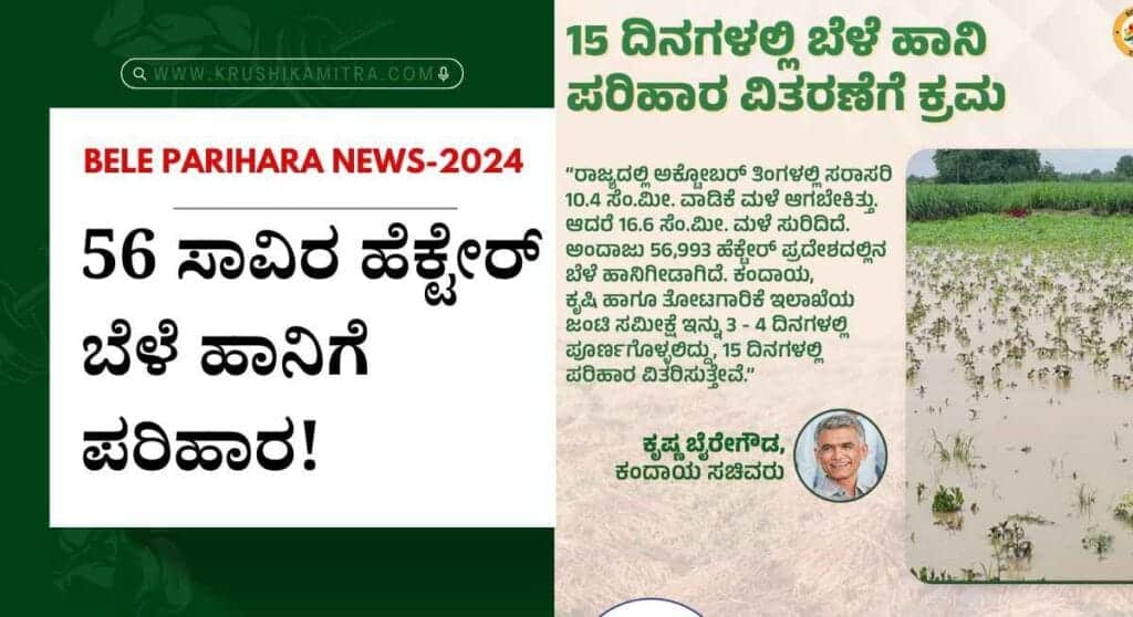 Bele parihara news- 56 ಸಾವಿರ ಹೆಕ್ಟೇರ್ ಬೆಳೆ ಹಾನಿ ಈ ಪಟ್ಟಿಯಲ್ಲಿರುವವರಿಗೆ 15 ದಿನದಲ್ಲಿ ಬೆಳೆ ಹಾನಿ ಪರಿಹಾರ: ಸಚಿವ ಕೃಷ್ಣ ಬೈರೇಗೌಡ