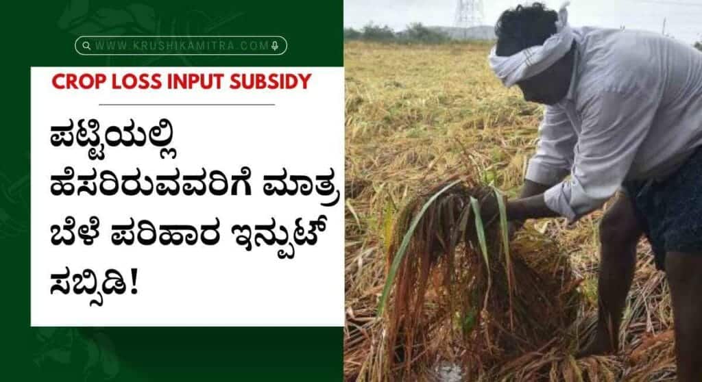 Crop loss Input subsidy-ಮೊದಲ ಹಂತದಲ್ಲಿ 13.02 ಕೋಟಿ ಬೆಳೆ ಪರಿಹಾರ ಬಿಡುಗಡೆಗೆ ಸಿದ್ದತೆ! ಪಟ್ಟಿಯಲ್ಲಿ ನಿಮ್ಮ ಹೆಸರು ಇದಿಯಾ ಚೆಕ್ ಮಾಡಿ!