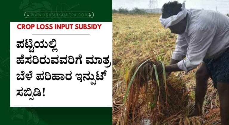 Crop loss Input subsidy-ಮೊದಲ ಹಂತದಲ್ಲಿ 13.02 ಕೋಟಿ ಬೆಳೆ ಪರಿಹಾರ ಬಿಡುಗಡೆಗೆ ಸಿದ್ದತೆ! ಪಟ್ಟಿಯಲ್ಲಿ ನಿಮ್ಮ ಹೆಸರು ಇದಿಯಾ ಚೆಕ್ ಮಾಡಿ!