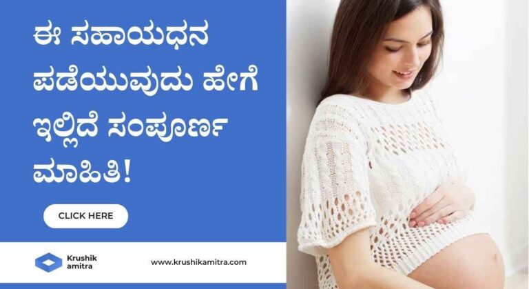 PMMVY Yojana- ಗರ್ಭಿಣಿ ಮಹಿಳೆಯರಿಗೆ ಈ ಯೋಜನೆಯಡಿ ಸಿಗಲಿದೆ ರೂ 11,000 ಸಾವಿರ ಅರ್ಥಿಕ ನೆರವು!