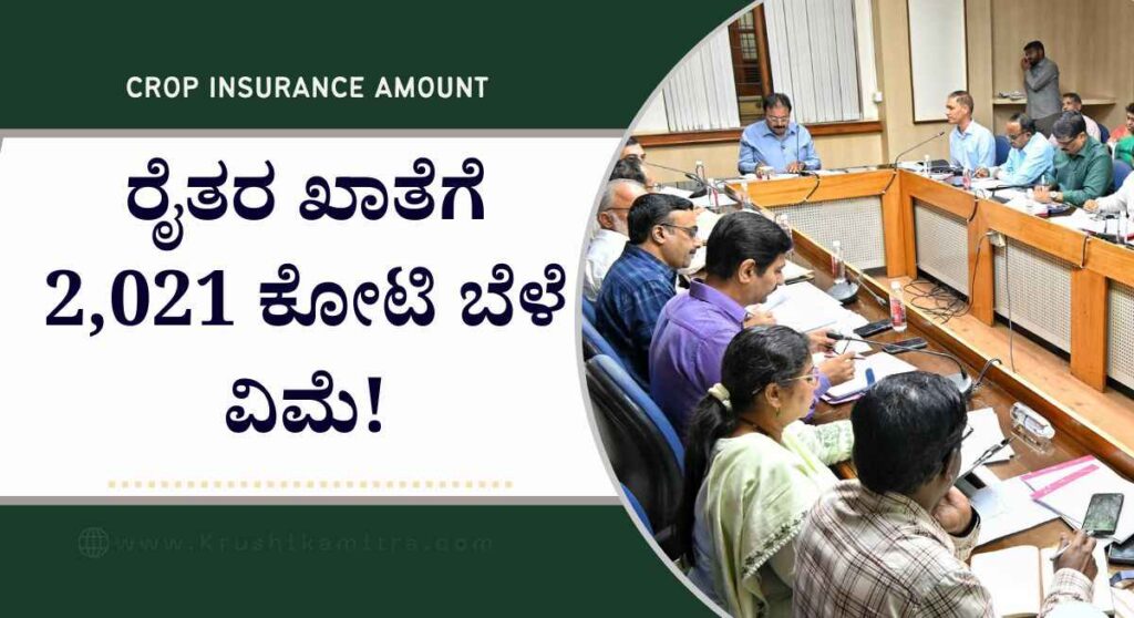 Bele vime amount- 17.61 ಲಕ್ಷ ರೈತರಿಗೆ 2,021 ಕೋಟಿ ಬೆಳೆ ವಿಮೆ ಕೃಷಿ ಸಚಿವ ಚಲುವರಾಯಸ್ವಾಮಿ!