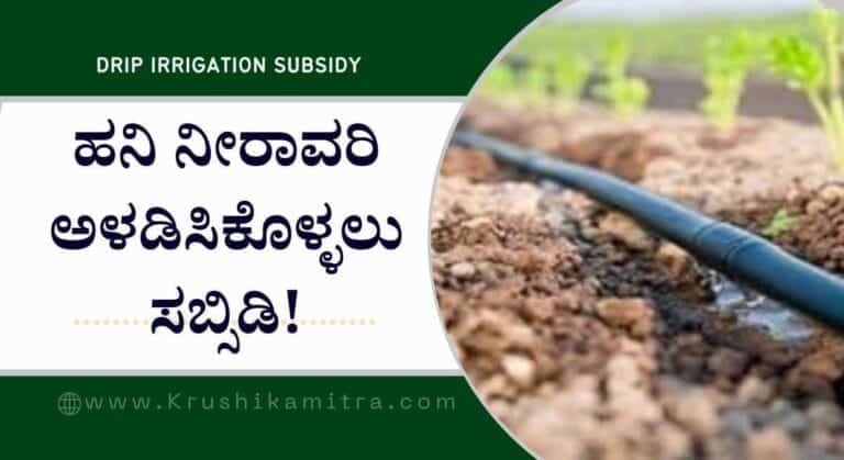 Drip irrigation Subsidy-ಶೇ 90% ಸಬ್ಸಿಡಿಯಲ್ಲಿ ಹನಿ ನೀರಾವರಿ ಆಳಡಿಸಿಕೊಳ್ಳಲು ಅರ್ಜಿ ಅಹ್ವಾನ!