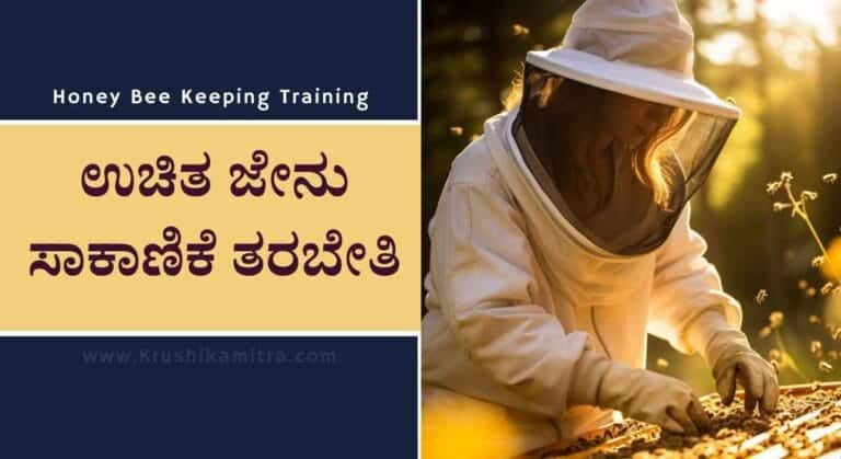 Honey Bee Keeping Training-ಉಚಿತ ಜೇನು ಸಾಕಾಣಿಕೆ ತರಬೇತಿಗೆ ಅರ್ಜಿ ಸಲ್ಲಿಸಲು ಅವಕಾಶ!