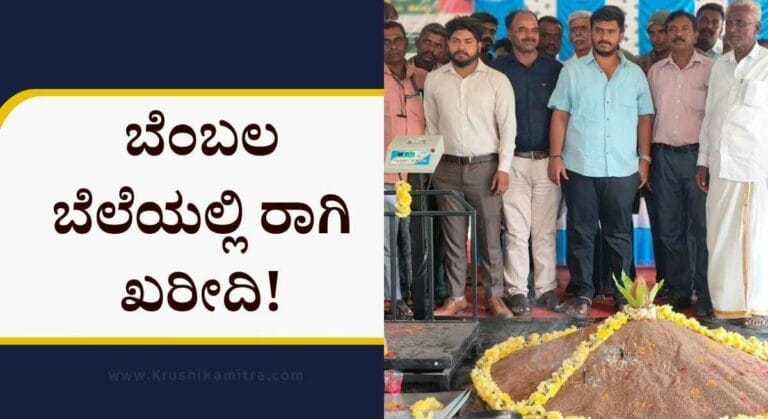 Raagi kharidi kendra-ರೈತರಿಗೆ ಭರ್ಜರಿ ಸಿಹಿ ಸುದ್ದಿ: ರೂ. 4290 ರಂತೆ ಬೆಂಬಲ ಬೆಲೆ ಯೋಜನೆಯಡಿ ರಾಗಿ ಖರೀದಿ!