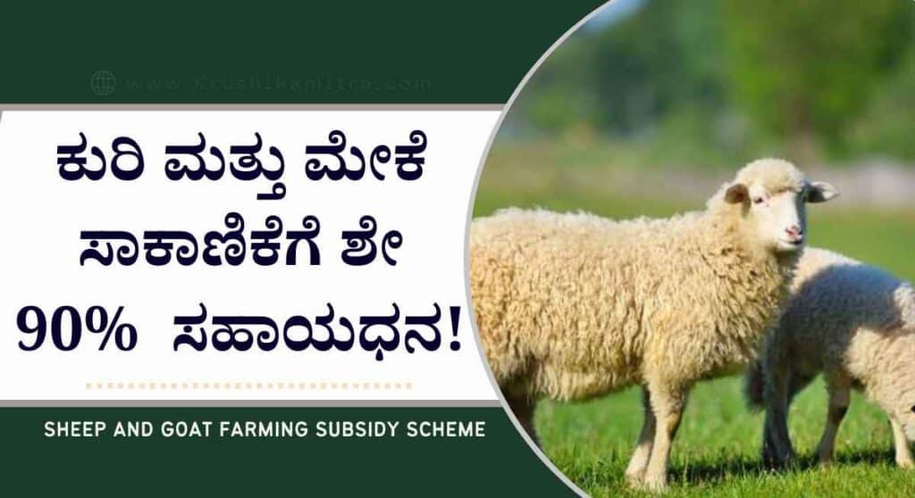 Sheep and Wool Development-ಕುರಿ ಮತ್ತು ಉಣ್ಣೆ ಅಭಿವೃದ್ದಿ ನಿಗಮದಿಂದ ಸಬ್ಸಿಡಿ ಪಡೆಯಲು ಅರ್ಜಿ ಆಹ್ವಾನ!