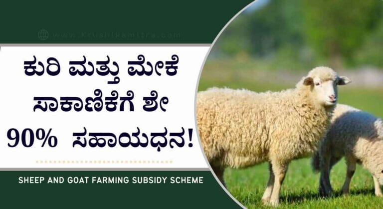 Sheep and Wool Development-ಕುರಿ ಮತ್ತು ಉಣ್ಣೆ ಅಭಿವೃದ್ದಿ ನಿಗಮದಿಂದ ಸಬ್ಸಿಡಿ ಪಡೆಯಲು ಅರ್ಜಿ ಆಹ್ವಾನ!