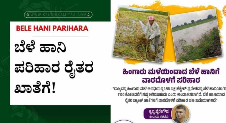 Bele hani parihara-ಹಿಂಗಾರು ಹಂಗಾಮಿನ ₹120 ಕೋಟಿ ಬೆಳೆ ಹಾನಿ ಪರಿಹಾರ ರೈತರ ಖಾತೆಗೆ!