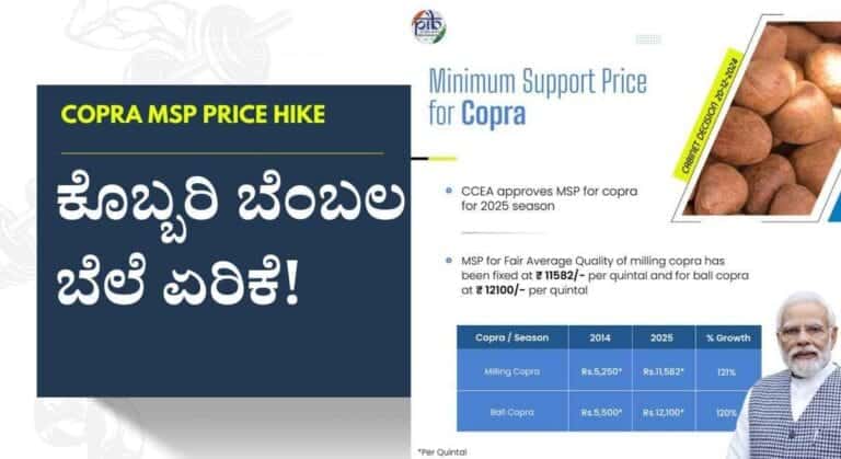 Copra MSP-ಕೊಬ್ಬರಿ ಬೆಂಬಲ ಬೆಲೆ ಏರಿಕೆ ಮಾಡಿದ ಕೇಂದ್ರ ಸರಕಾರ!