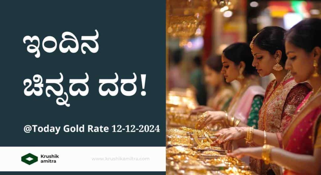 Today Gold Rate 12-12-2024: ವಿವಿಧ ನಗರಗಳಲ್ಲಿ ಇಂದಿನ ಚಿನ್ನದ ದರ!