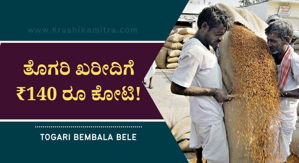 Togari Kharidi-ರಾಜ್ಯ ಸರ್ಕಾರದಿಂದ ತೊಗರಿ ಖರೀದಿಗೆ ₹140 ರೂ ಕೋಟಿ!