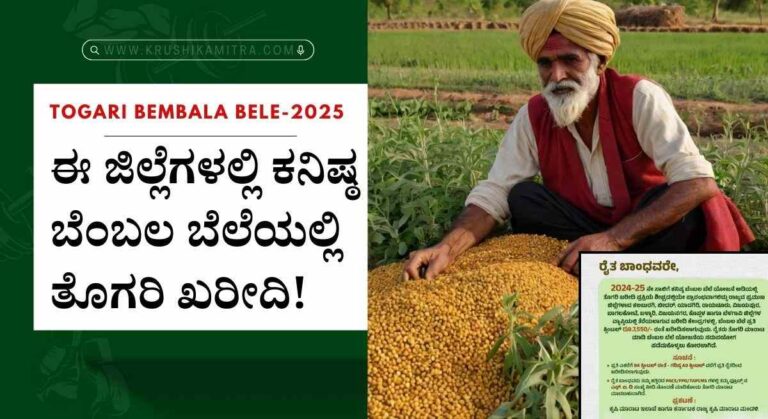 Togari bembala bele-ಬೆಂಬಲ ಬೆಲೆ ಯೋಜನೆಯಡಿ ತೊಗರಿ ಖರೀದಿ! ದರ ಎಷ್ಟು?