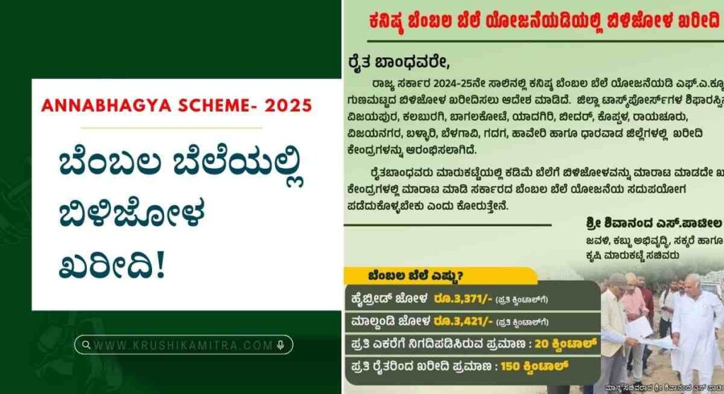 Bilijola MSP-ಬೆಂಬಲ ಬೆಲೆಯಲ್ಲಿ ಬಿಳಿಜೋಳ ಖರೀದಿ! ಯಾವೆಲ್ಲ ಜಿಲ್ಲೆಯಲ್ಲಿ ಅವಕಾಶ!