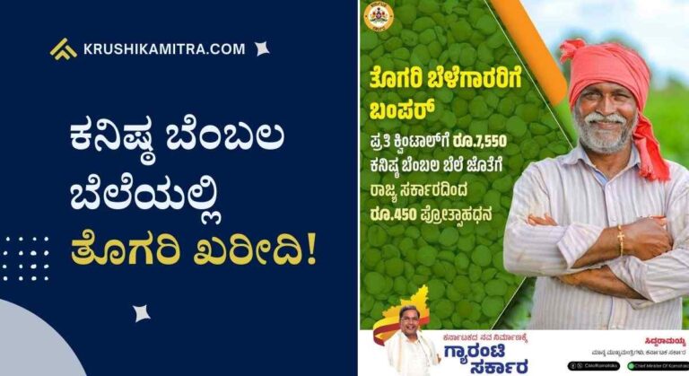 Togari MSP-ರಾಜ್ಯ ಸರಕಾರದಿಂದ ತೊಗರಿಗೆ ಹೆಚ್ಚುವರಿಯಾಗಿ ₹450 ರೂ ಪ್ರೋತ್ಸಾಹಧನ!