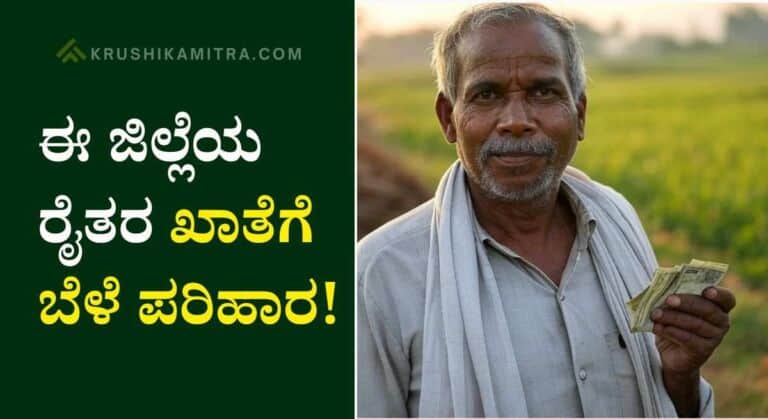 Bele Parihara-2025: 2.3 ಲಕ್ಷ ರೈತರ ಖಾತೆಗೆ ₹667.73 ಕೋಟಿ ಬೆಳೆ ಪರಿಹಾರ!