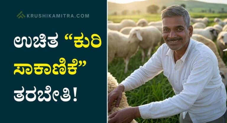 Sheep farming- ಉಚಿತ ಕುರಿ ಸಾಕಾಣಿಕೆ ತರಬೇತಿ ಪಡೆಯಲು ಅವಕಾಶ!