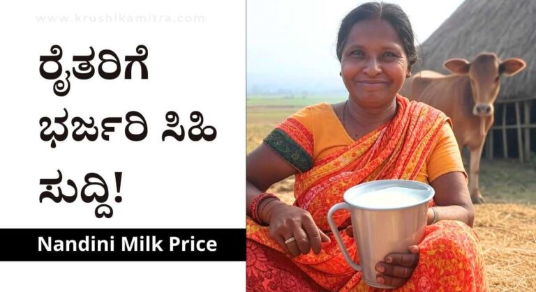 Nandini Milk Price-ಹಾಲಿನ ದರ ₹4 ರೂ ಹೆಚ್ಚಳ ಮಾಡಿದ ಸರ್ಕಾರ!