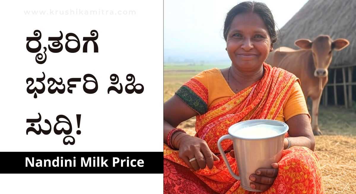 Nandini Milk Price-ಹಾಲಿನ ದರ ₹4 ರೂ ಹೆಚ್ಚಳ ಮಾಡಿದ ಸರ್ಕಾರ!
