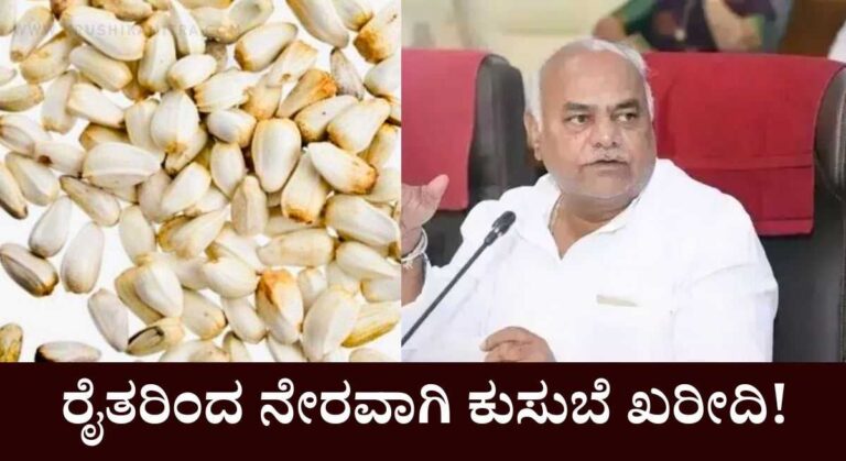 MSP Price List-ಬೆಂಬಲ ಬೆಲೆಯಲ್ಲಿ ಕುಸುಬೆ ಖರೀದಿ!ದರ ಎಷ್ಟು?