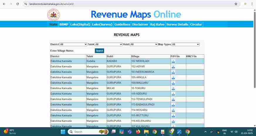 revenue map 