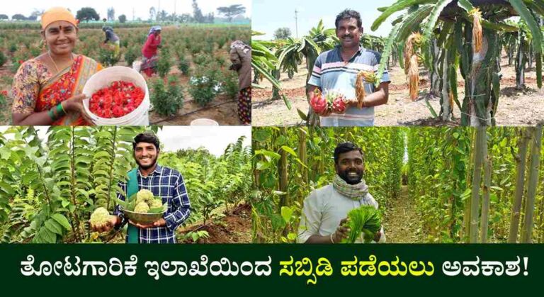 Horticulture Scheme-ತೋಟಗಾರಿಕೆ ಇಲಾಖೆಯಿಂದ ಈ ಬೆಳೆ ಬೆಳೆಯಲು 1,68 ಲಕ್ಷ ಸಬ್ಸಿಡಿ!