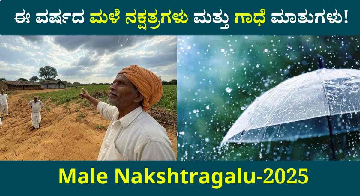 Male Nakshatragalu-2025: ಈ ವರ್ಷದ ಮಳೆ ನಕ್ಷತ್ರಗಳು! ಇಲ್ಲಿದೆ ಸಂಪೂರ್ಣ ಮಾಹಿತಿ!