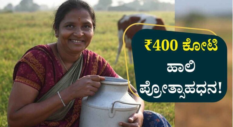 Milk incentive Amount- ರೈತರಿಗೆ ₹400 ಕೋಟಿ ಹಾಲಿ ಪ್ರೋತ್ಸಾಹಧನ ಪಾವತಿ: ಸಚಿವ ಕೆ.ವೆಂಕಟೇಶ್!