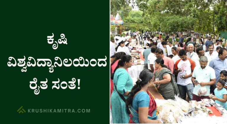 Farmers Market-ಕೃಷಿ ವಿಶ್ವವಿದ್ಯಾನಿಲಯ ಬೆಂಗಳೂರುವತಿಯಿಂದ ರೈತ ಸಂತೆ!