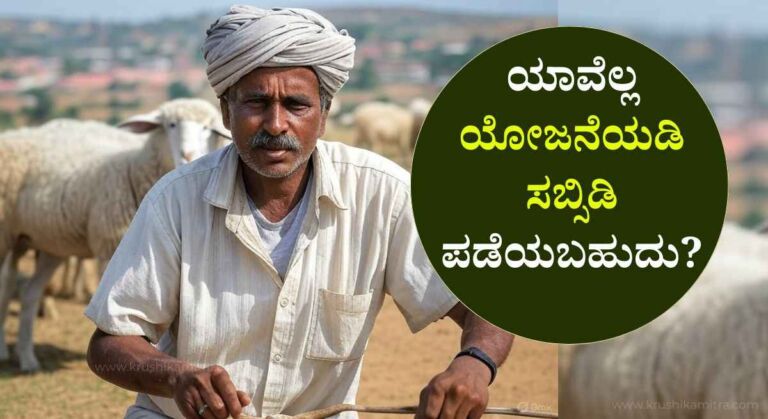 Sheep Farming-ಉಚಿತ ಕುರಿ ಸಾಕಾಣಿಕೆ ತರಬೇತಿಗೆ ಅರ್ಜಿ ಆಹ್ವಾನ! ಯಾವೆಲ್ಲ ಯೋಜನೆಯಡಿ ಸಬ್ಸಿಡಿ ಪಡೆಯಬಹುದು?