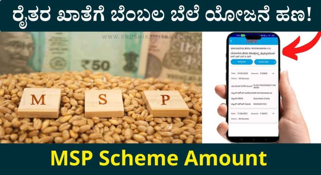 MSP Scheme Amount-ಬೆಂಬಲ ಬೆಲೆ ಯೋಜನೆಯಡಿ ರೈತರ ಖಾತೆಗೆ ಹಣ ಬಿಡುಗಡೆ!