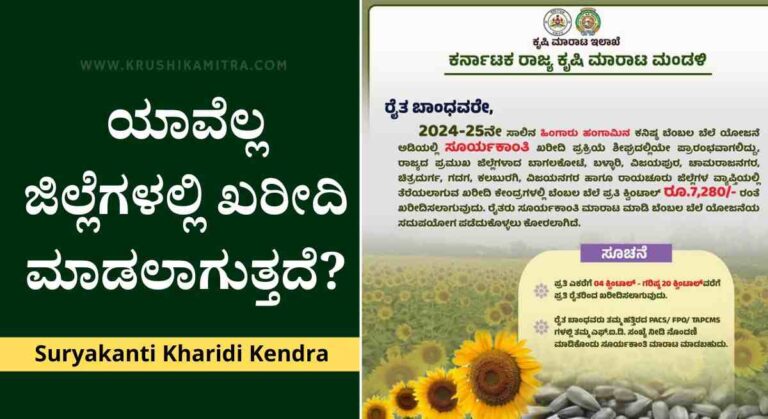 Bembala Bele Yojane- ರೈತರಿಂದ ಬೆಂಬಲ ಬೆಲೆಯಲ್ಲಿ ಸೂರ್ಯಕಾಂತಿ ಖರೀದಿ!
