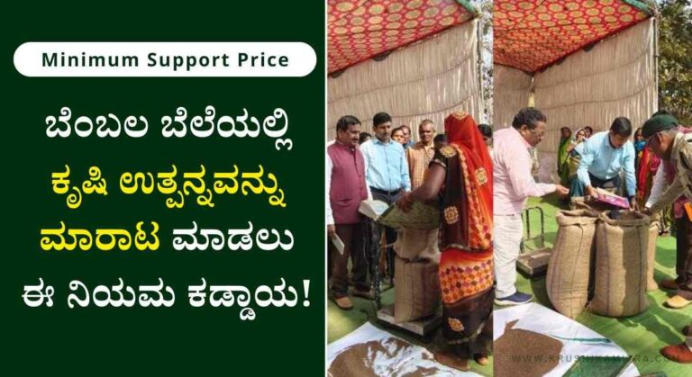 Raagi Kharidi-ಬೆಂಬಲ ಬೆಲೆಯಲ್ಲಿ ರಾಗಿ ಖರೀದಿಯಲ್ಲಿ ಮಹತ್ವದ ಬದಲಾವಣೆ!