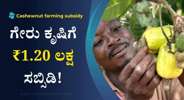 Cashewnut farming subsidy-ಗೇರು ಕೃಷಿ ಮಾಡಲು ₹1.20 ಲಕ್ಷ ಸಬ್ಸಿಡಿ ಪಡೆಯಲು ಅರ್ಜಿ ಆಹ್ವಾನ!