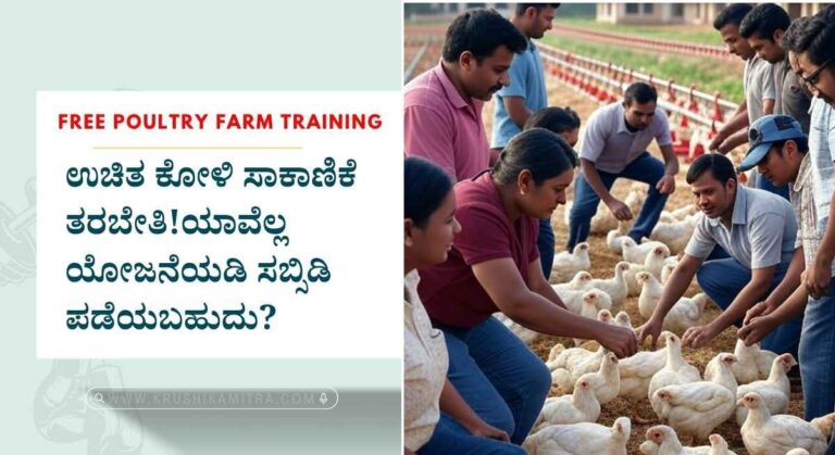 Poultry farm-ಉಚಿತ ಕೋಳಿ ಸಾಕಾಣಿಕೆ ತರಬೇತಿಗೆ ಅರ್ಜಿ! ಕೋಳಿ ಸಾಕಾಣಿಕೆಗೆ ಸಬ್ಸಿಡಿ ಯೋಜನೆಗಳು!