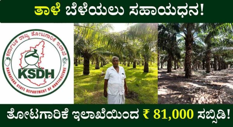 Oil Palm Subsidy-ತೋಟಗಾರಿಕೆ ಇಲಾಖೆಯಿಂದ ₹ 81,000 ಸಬ್ಸಿಡಿಯಲ್ಲಿ ತಾಳೆ ಬೆಳೆಯ ಅರ್ಜಿ ಆಹ್ವಾನ!