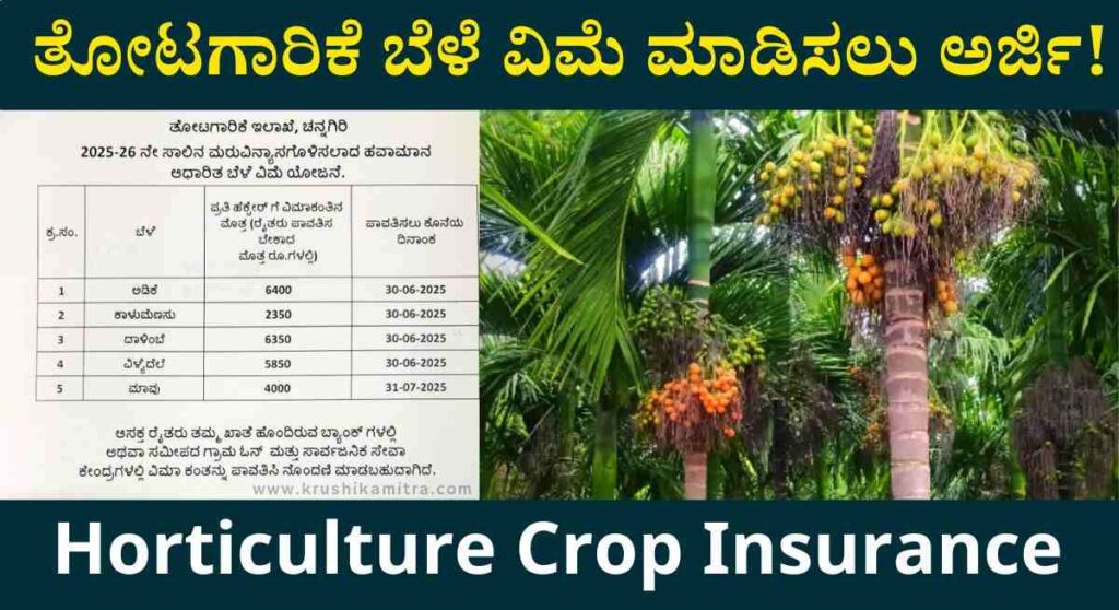 Adike Bele Vime-ಅಡಿಕೆ ಸೇರಿದಂತೆ ತೋಟಗಾರಿಕೆ ಬೆಳೆಗಳಿಗೆ ವಿಮೆ ಮಾಡಿಸಲು ಅರ್ಜಿ ಆಹ್ವಾನ!