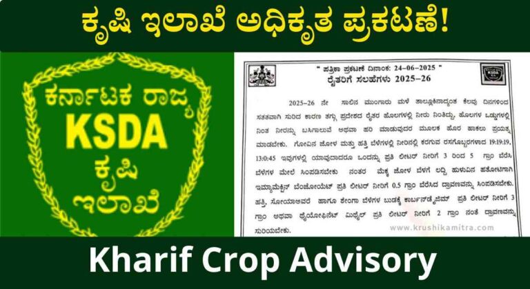 Crop Advisory-ಅತೀಯಾದ ಮಳೆಯಿಂದ ಬೆಳೆ ಚೇತರಿಸಿಕೊಳ್ಳಲು ರೈತರು ಈ ಕ್ರಮ ಅನುಸರಿಸಿ!