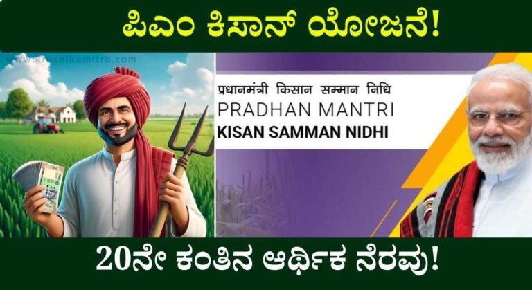 PM Kisan 20th installment-ಪಿಎಂ ಕಿಸಾನ್ 20ನೇ ಕಂತು ಈ ಅವಧಿಯಲ್ಲಿ ಬಿಡುಗಡೆ ಸಾಧ್ಯತೆ!