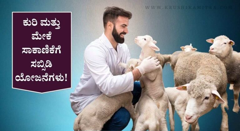 Kuri Sakanike Training-ಉಚಿತ ಕುರಿ ಮತ್ತು ಮೇಕೆ ಸಾಕಾಣಿಕೆ ತರಬೇತಿ ಪಡೆಯಲು ಅರ್ಜಿ ಆಹ್ವಾನ!